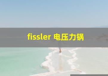 fissler 电压力锅